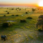 Urlaub Botswana • Okavango-Delta (Sehenswürdigkeiten)